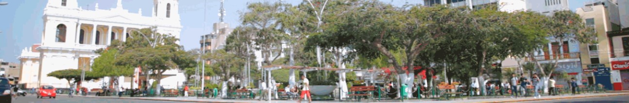 Lambayeque - Olmos - El Cardo